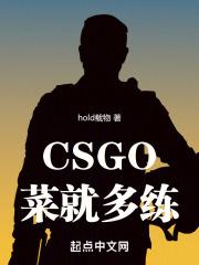 CSGO˾Ͷ